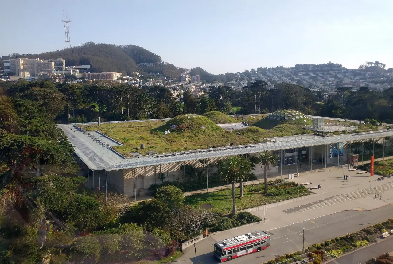 Aerial view of the green, rolling living roof of the California Academy of Sciences