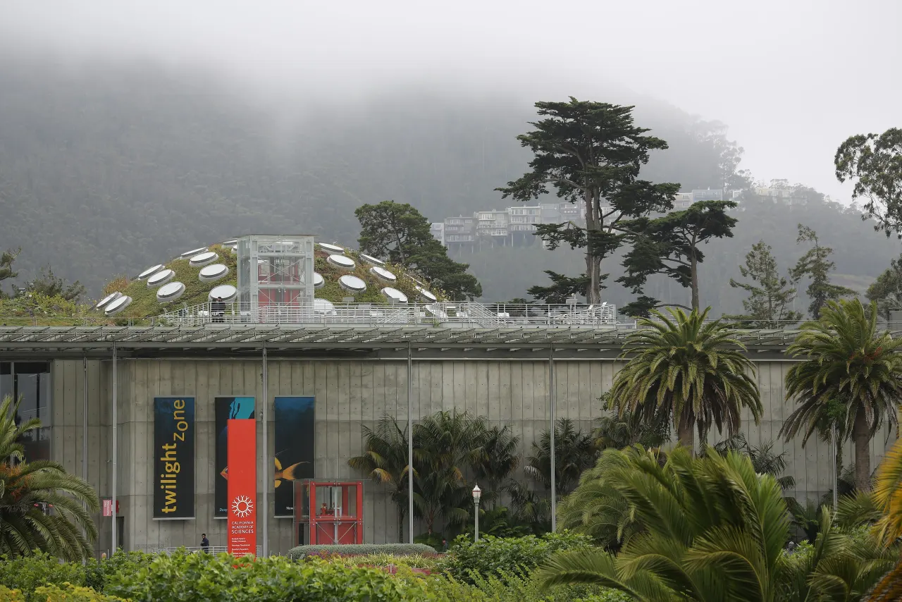The glass and steel entrance of the California Academy of Sciences under low fog