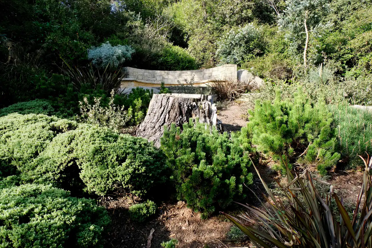 A stone-lined path and ferns in the National AIDS Memorial Grove