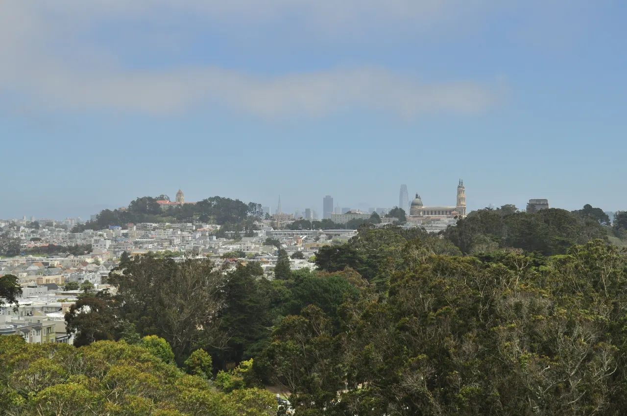 View northeast over Golden Gate Park treetops toward the Richmond District from the Hamon Observation Tower
