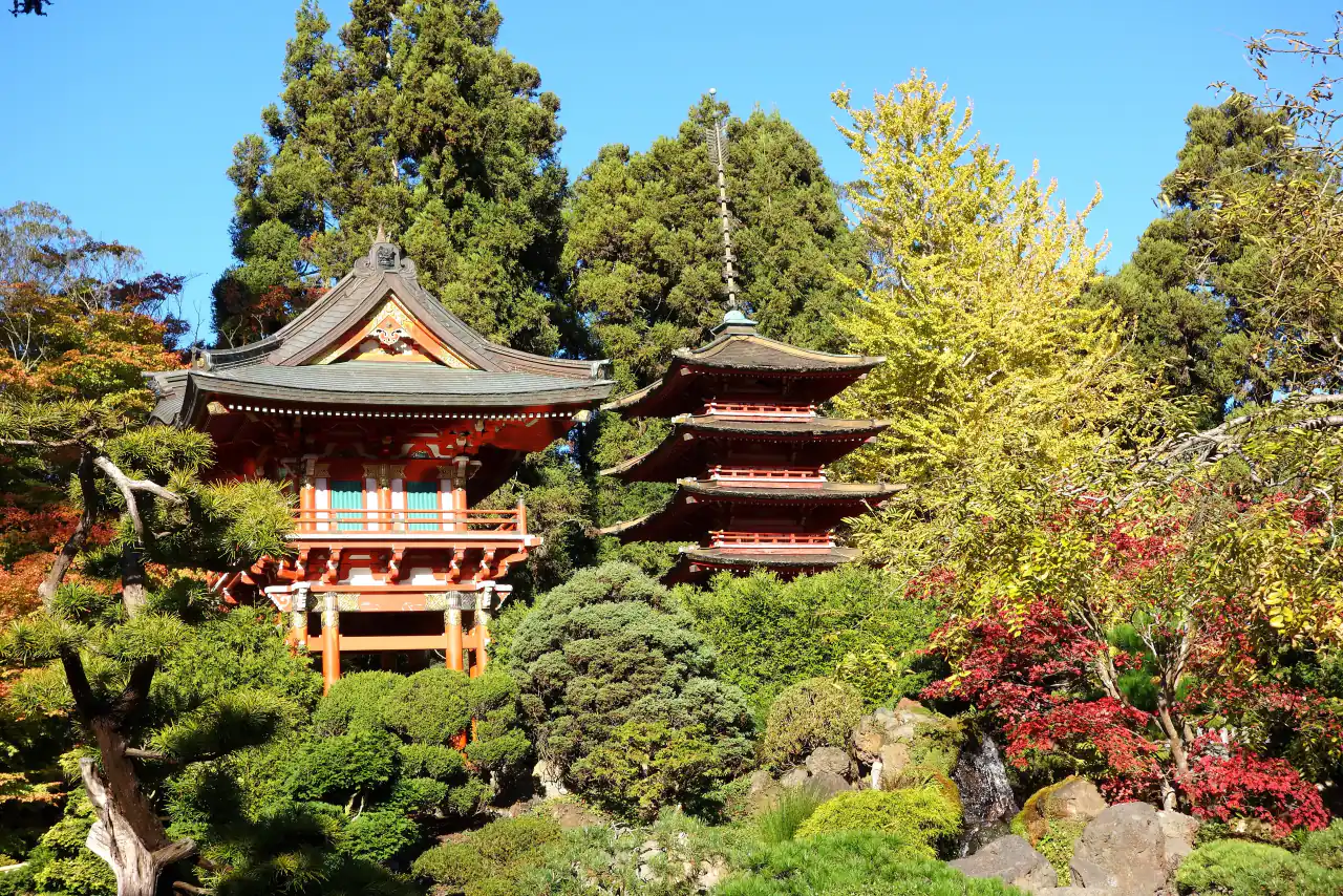 A red five-tiered pagoda among autumn trees and clipped shrubs in the Japanese Tea Garden