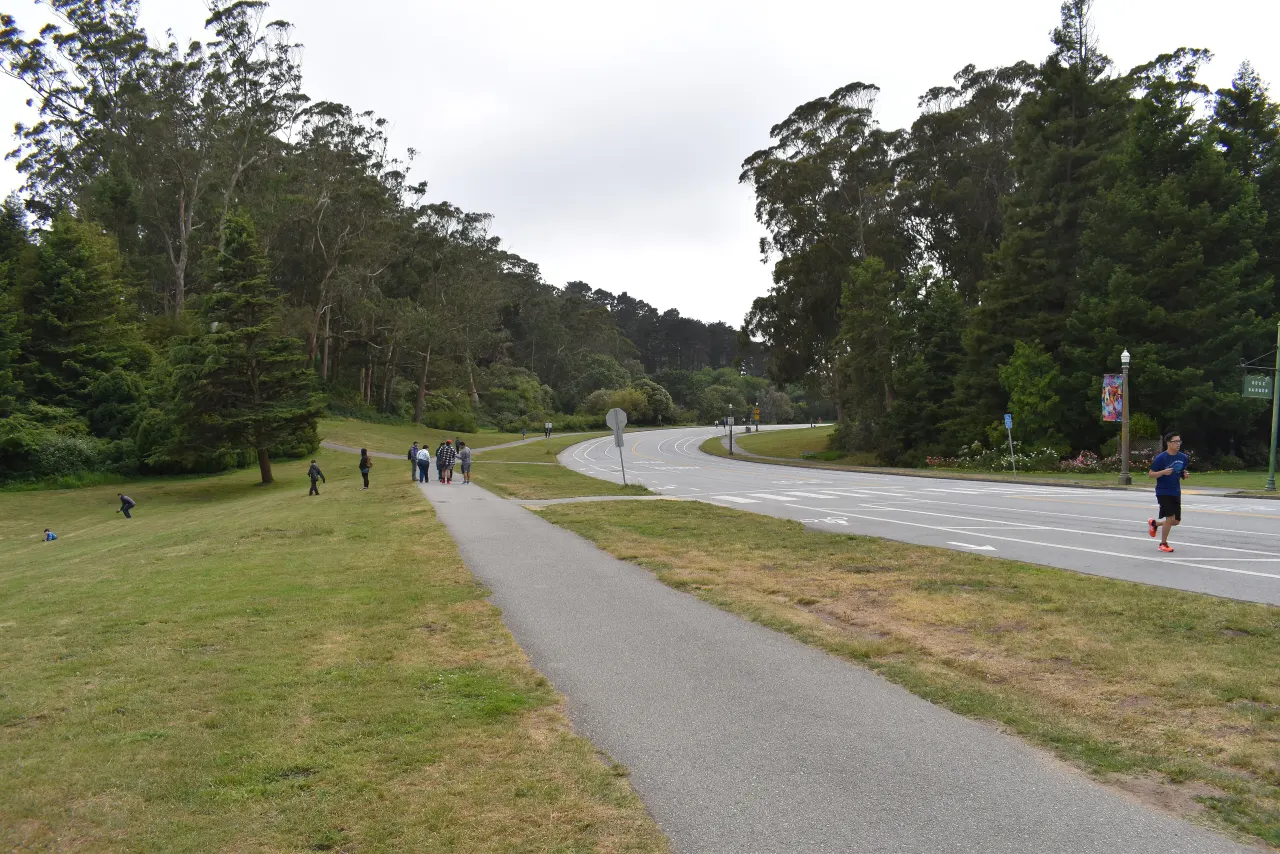 A two-lane park drive passing lawns and cypress trees in Golden Gate Park
