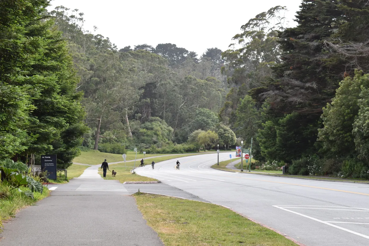 A wide, quiet road lined with tall trees and lawns in Golden Gate Park