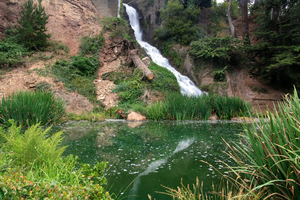 Rainbow Falls splashing down a rocky hillside surrounded by greenery