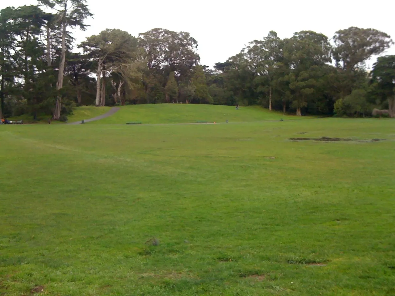 An empty green meadow below Hippie Hill ringed by trees