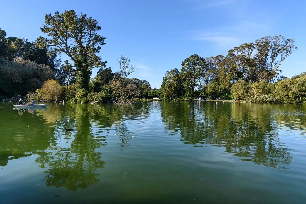 Blue Heron Lake with reflections of the wooded shore under a clear sky