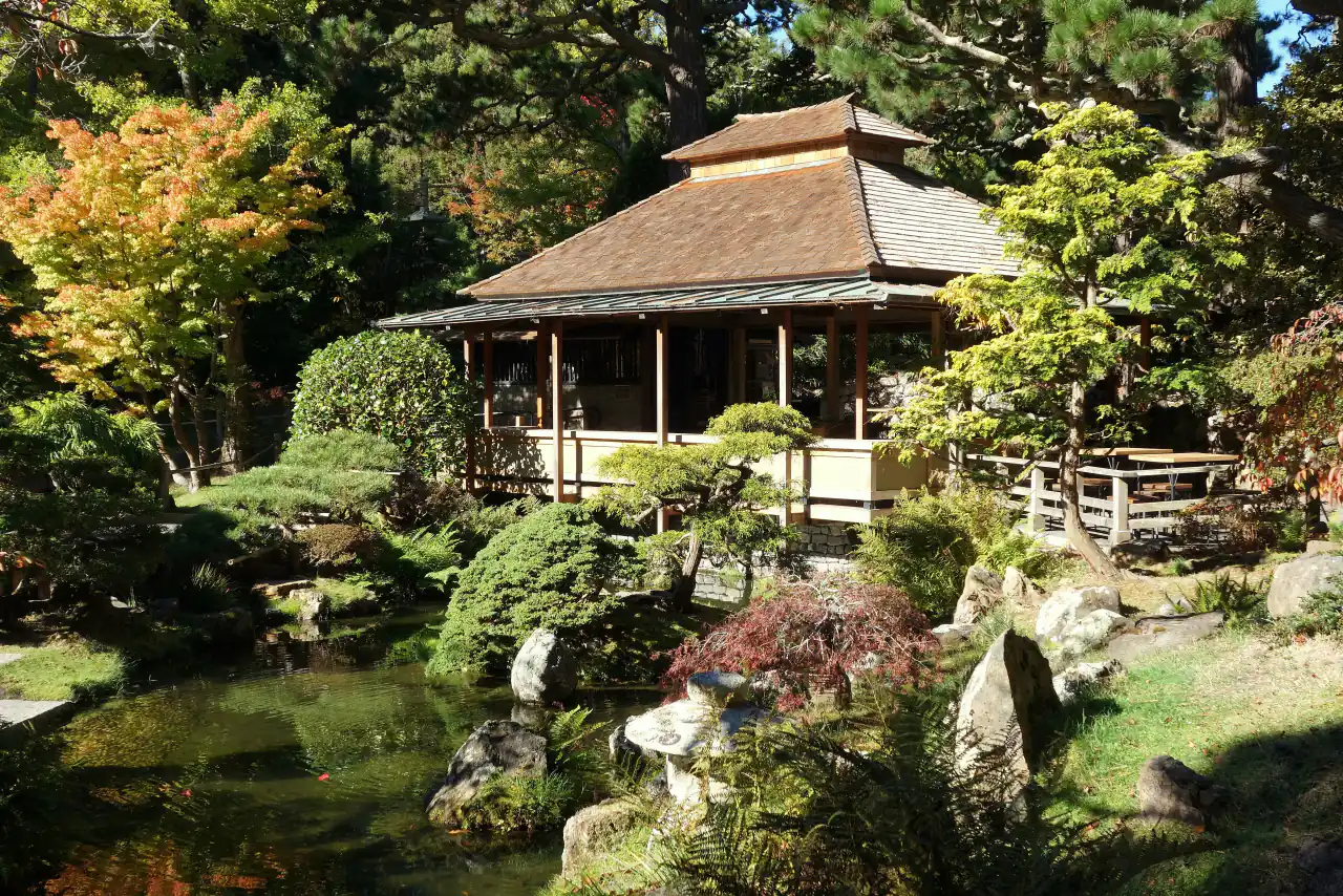 The wooden Tea House with a curved roof beside a pond in the Japanese Tea Garden
